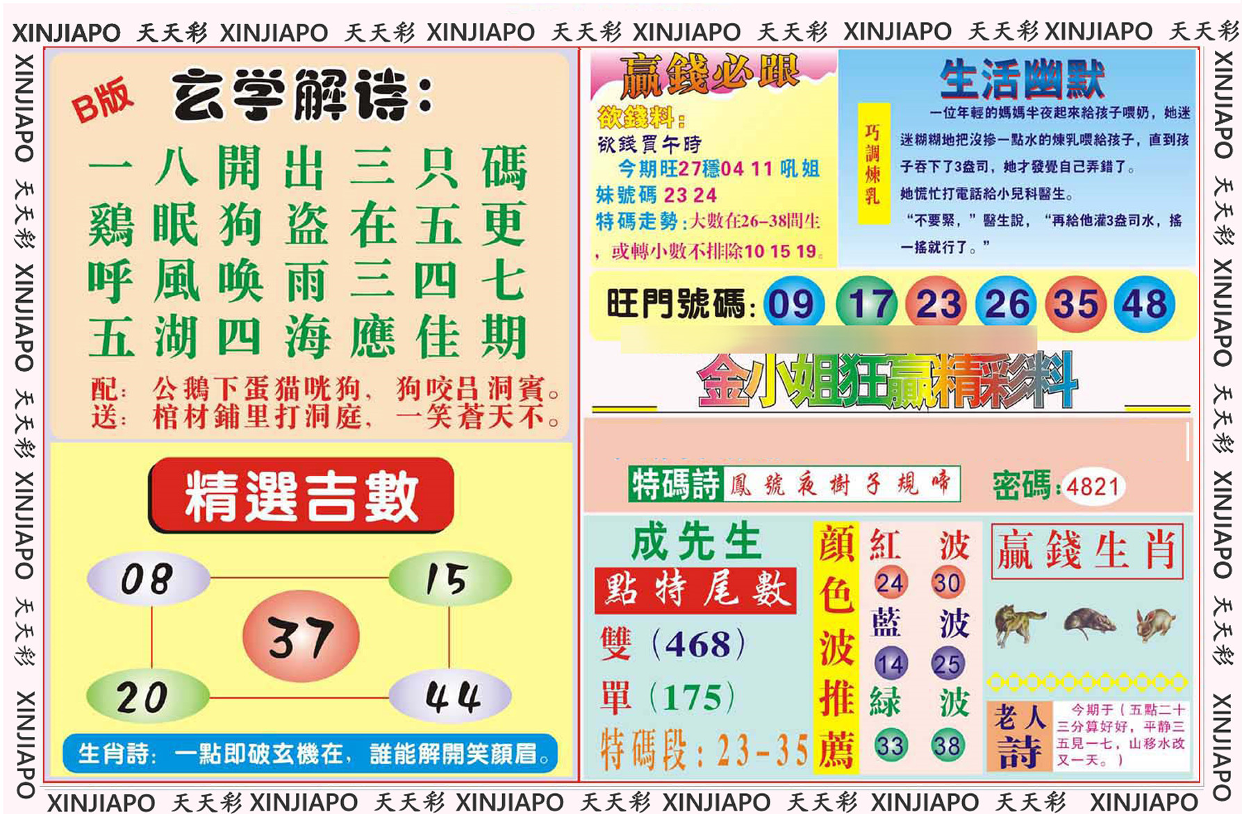 金小姐狂赢精彩料